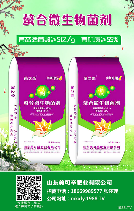     2019-12-11���@�����MչǷ��������������@�r���rһ�[