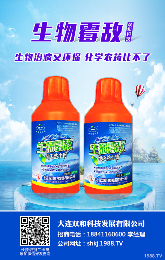 平菇種植其實不難，注意這幾點，產(chǎn)量會很高！