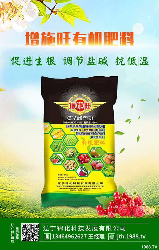 蔓荊子多少錢一斤？2020年蔓荊子種植前景及效益分析