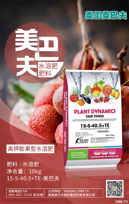 芽苗菜種植前景如何？芽苗菜的種植方法！