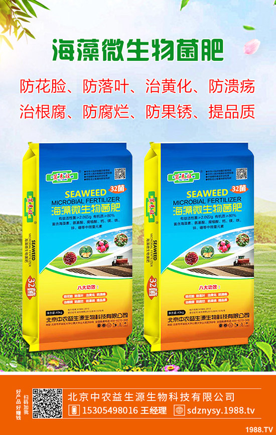     2020年春節(jié)鮮姜價格預(yù)計“暴漲”！多少錢一斤？生姜漲價原因分析！