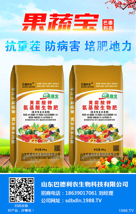     2020種植小黃姜怎樣？價格行情好么？小黃姜種植效益高不高！