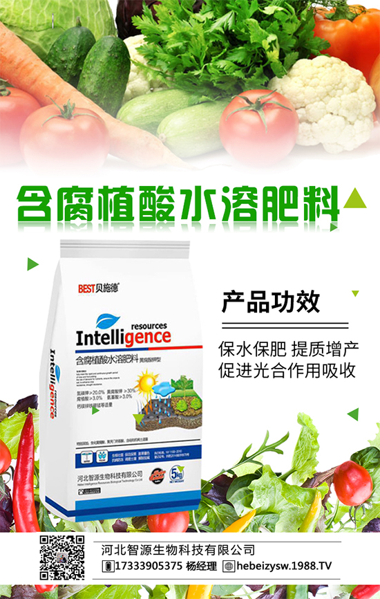 金桔價(jià)格多少錢(qián)一斤？金桔種植成本利潤(rùn)分析?。ǜ椒N植環(huán)境要求）