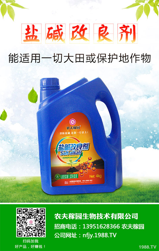 什么是蔓荊子？蔓荊子的功效作用及用法禁忌