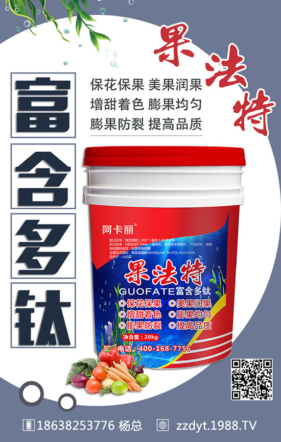 板藍根高產(chǎn)種植技術