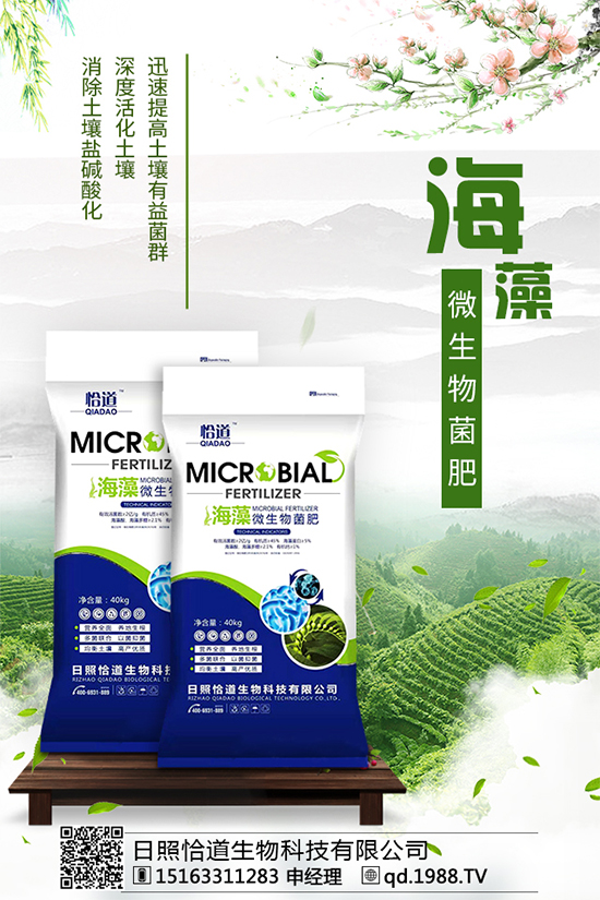 龍膽草的分布地區(qū)，龍膽草的功效與作用！