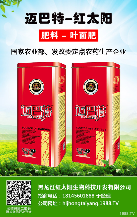 菠蘿種植多久結(jié)果？一年結(jié)幾次果？菠蘿種植方法！