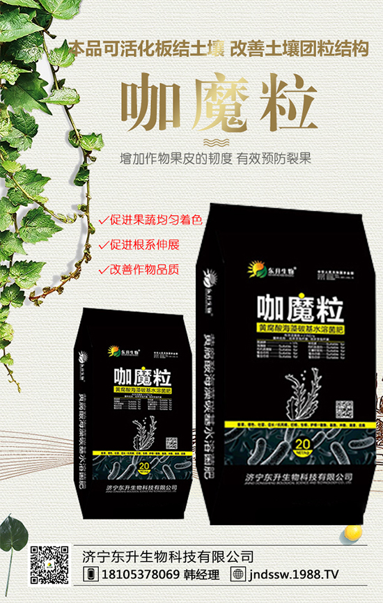 黑玉米價格多少錢一斤？2020年種植前景及效益分析！