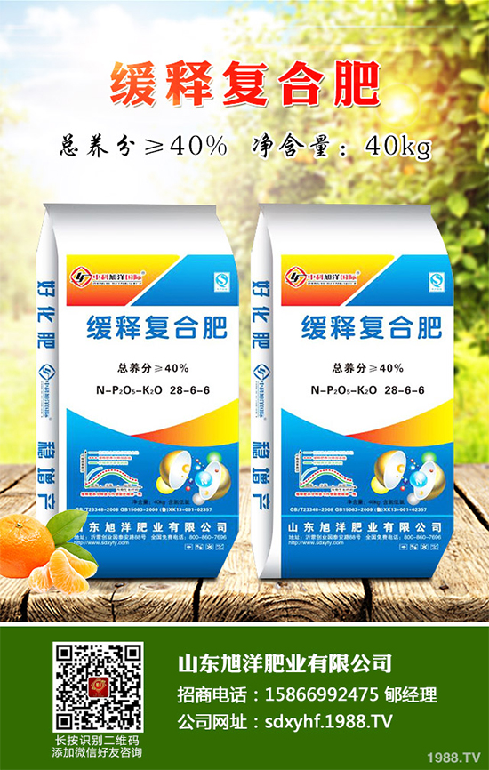 貢菊、杭白菊和胎菊有哪些不同之處？產(chǎn)地在哪？快來看看吧！