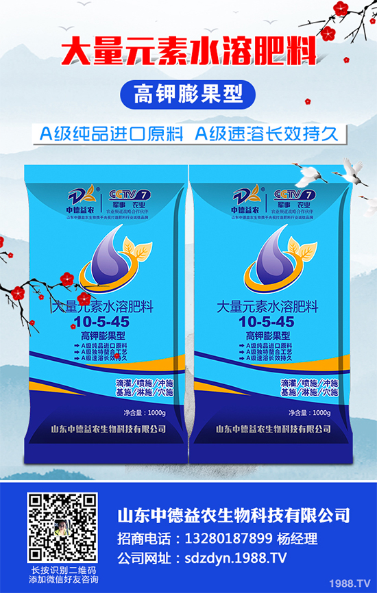 貢菊、杭白菊和胎菊有哪些不同之處？產(chǎn)地在哪？快來看看吧！