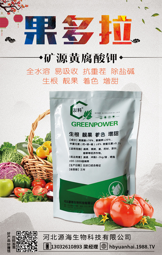 2020年香椿的種植前景，香椿的種植效益的分析！