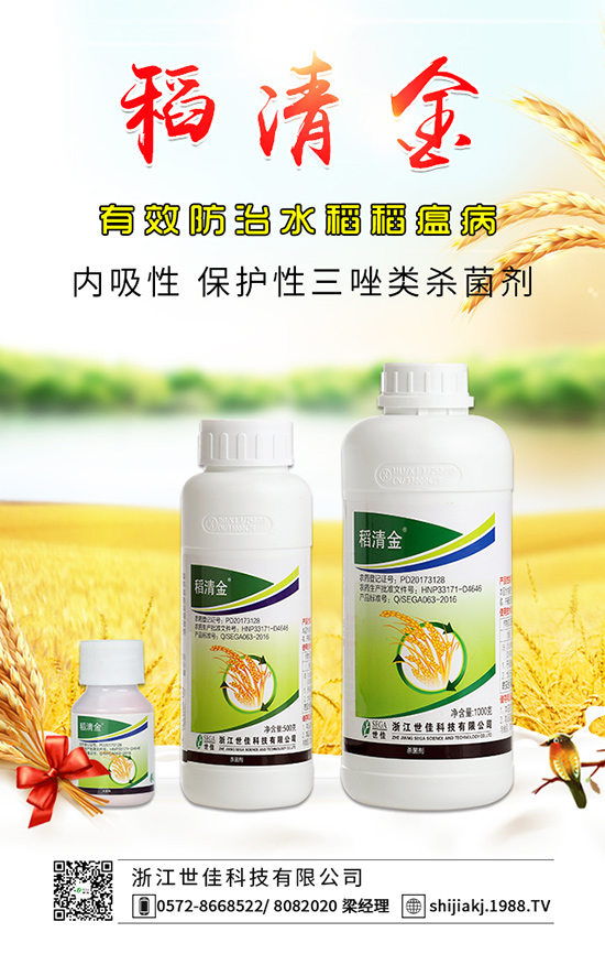 洋蔥生長(zhǎng)異常原因 洋蔥生長(zhǎng)異常防治措施