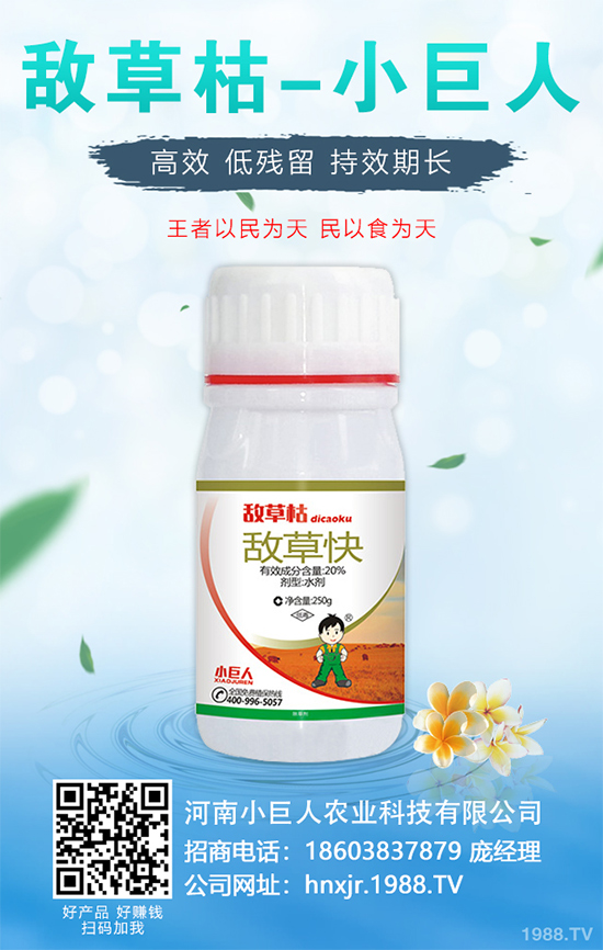 無花果種植行情怎么樣？如果能實現(xiàn)種植高產(chǎn)？