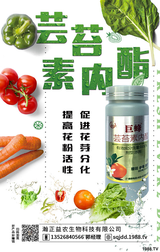 �����߲˲ɹ��ʵ�Σ���������ߴ����߲˲ɹ�����