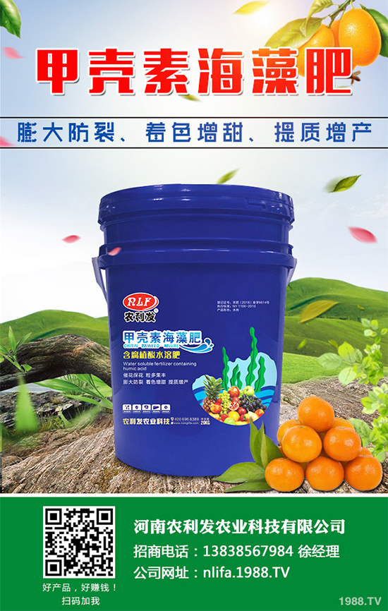 蘑菇種植需要什么條件？蘑菇種植環(huán)境要求