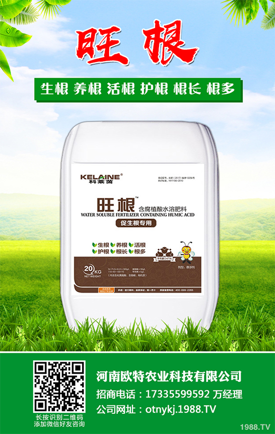 蘑菇種植需要什么條件？蘑菇種植環(huán)境要求