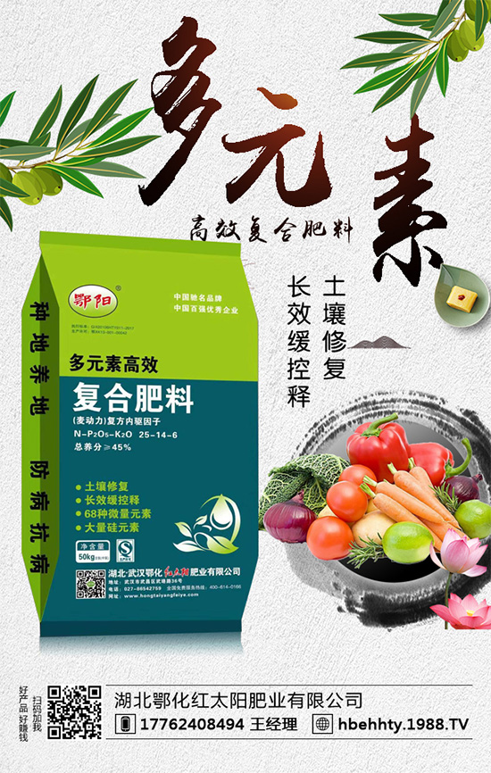 洋蔥什么時間種植？洋蔥的種植要點(diǎn)！