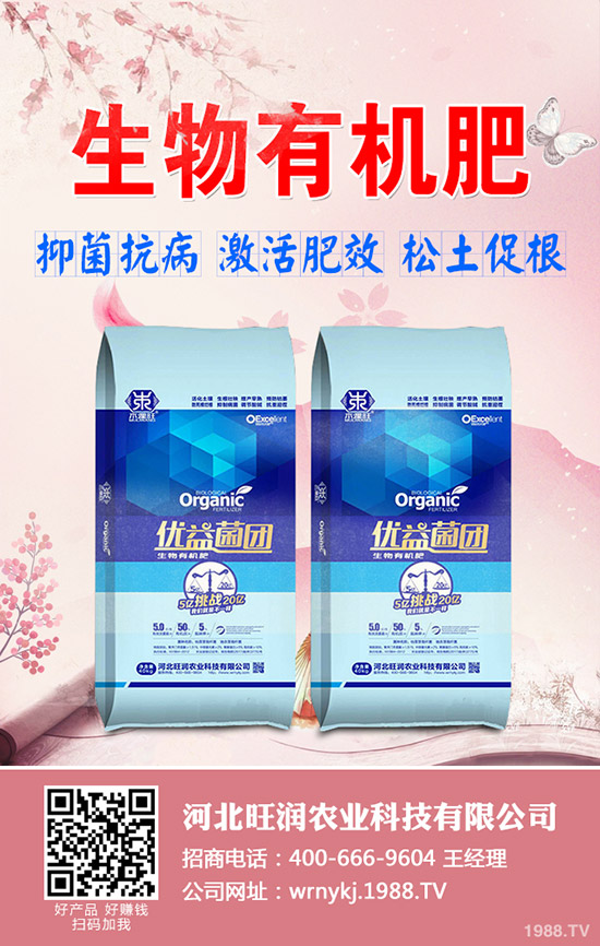復(fù)合肥多地價格調(diào)漲！2019-12-20各地區(qū)復(fù)合肥出廠價格一覽