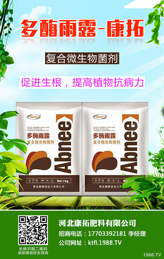 尿素每噸多少錢？2019-12-20今日各地尿素價(jià)格走勢(shì)分析