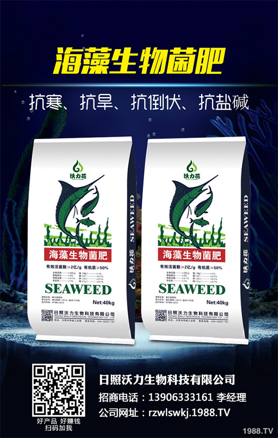 荊芥什么時(shí)候種植？荊芥種植時(shí)間及種植方法