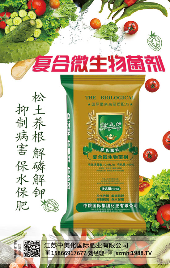     蘆筍市場價多少錢一斤？2020年蘆筍種植前景怎么樣？種植效益分析！