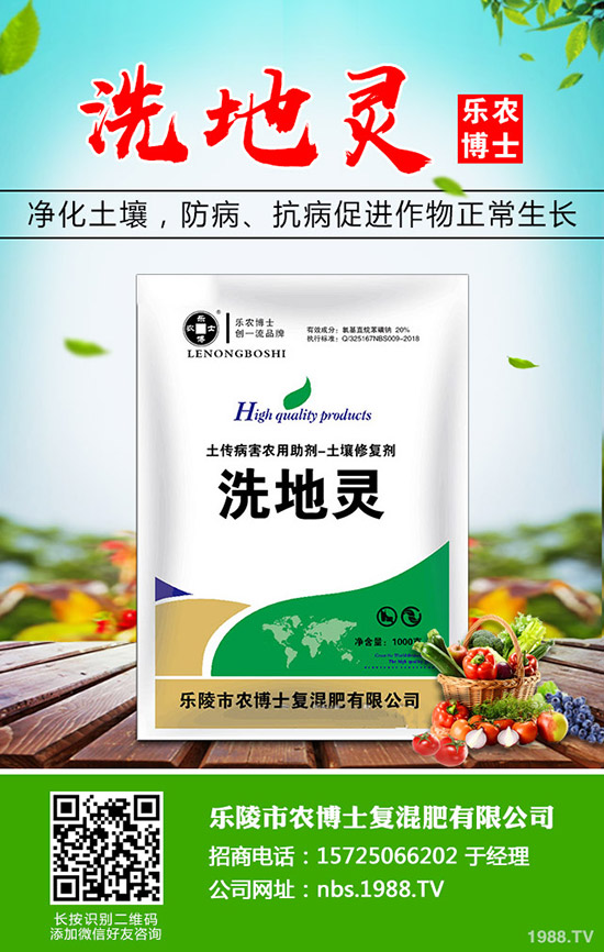 莧菜什么時候種植，莧菜的種植時間和方法！