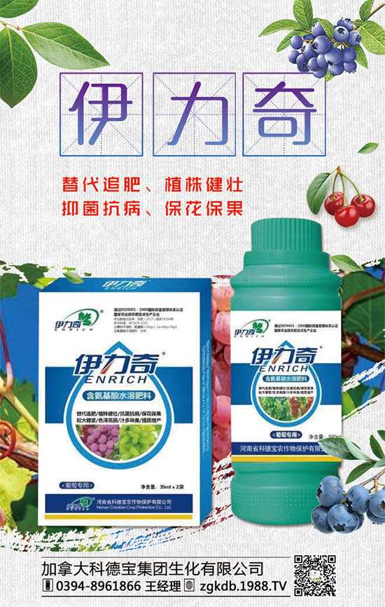     臨近年關(guān)！二銨行情是否上??！2020年二銨價格行情走勢預(yù)測！