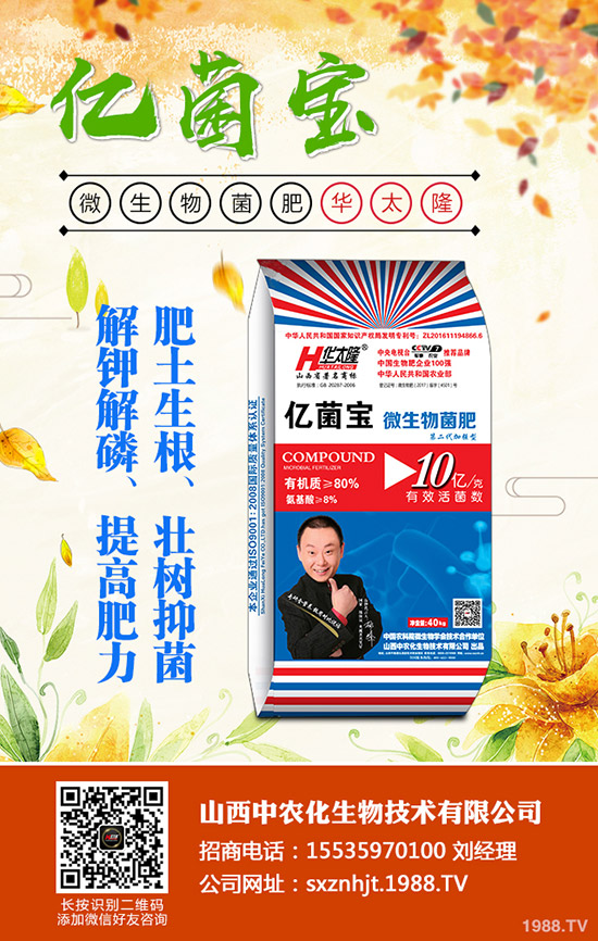     ���@�r(ji��)���Դ�С���»����g��2019��12�µ�������@���������