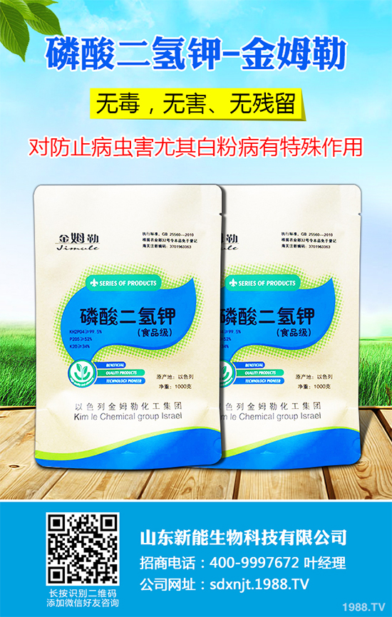 ħ��r(ji��)������Xһ����2020��ħ��Nֲ���Ј�(ch��ng)����