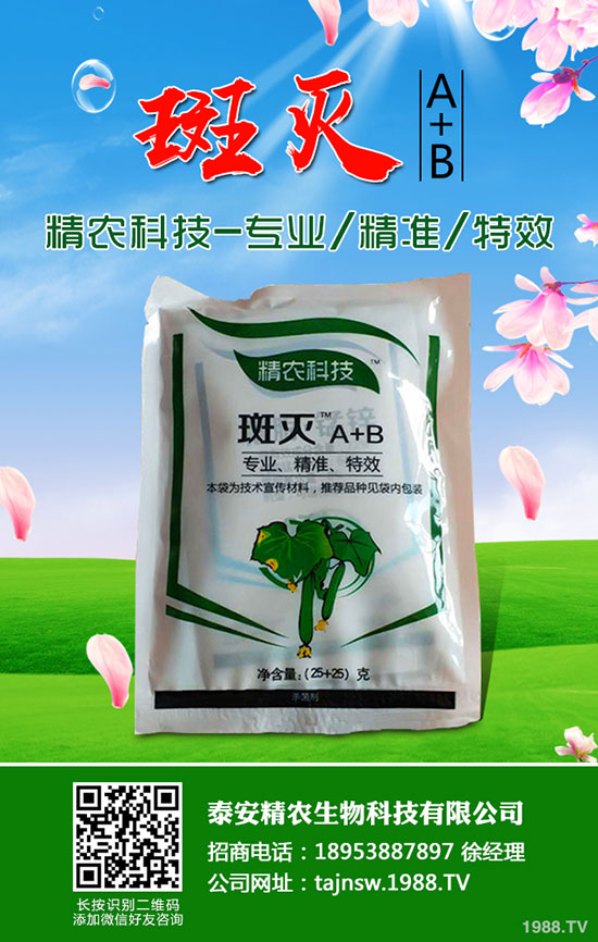 吃蠶豆對(duì)人體有哪些好處，蠶豆的功效與營養(yǎng)價(jià)值！