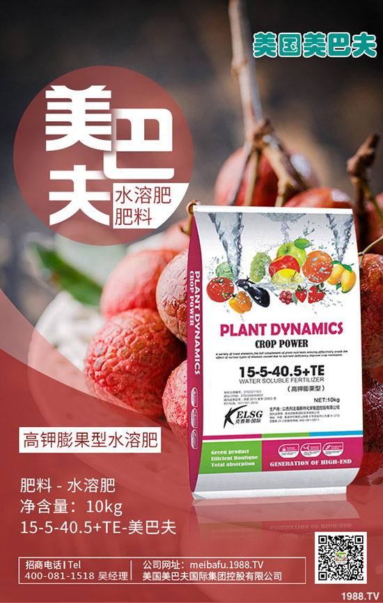     構樹產地在哪里？種植構樹國家還補貼！2020構樹種植前景如何？賺錢嗎？