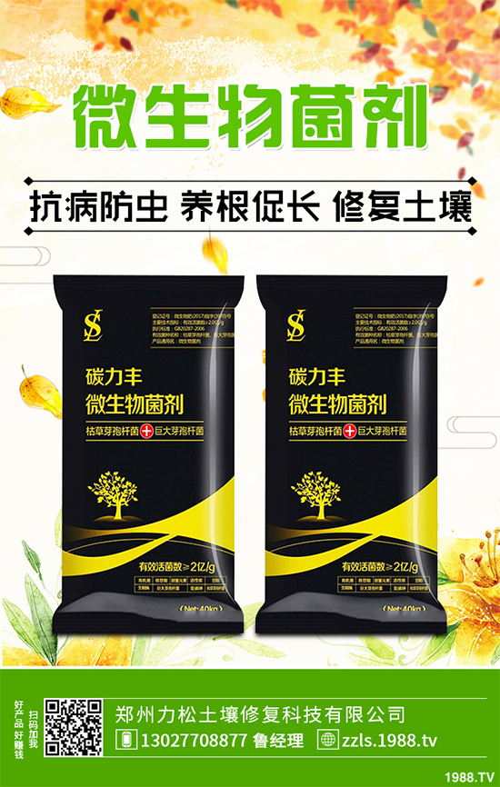 種植什么藥材能賺錢？2020年中藥材種植前景分析