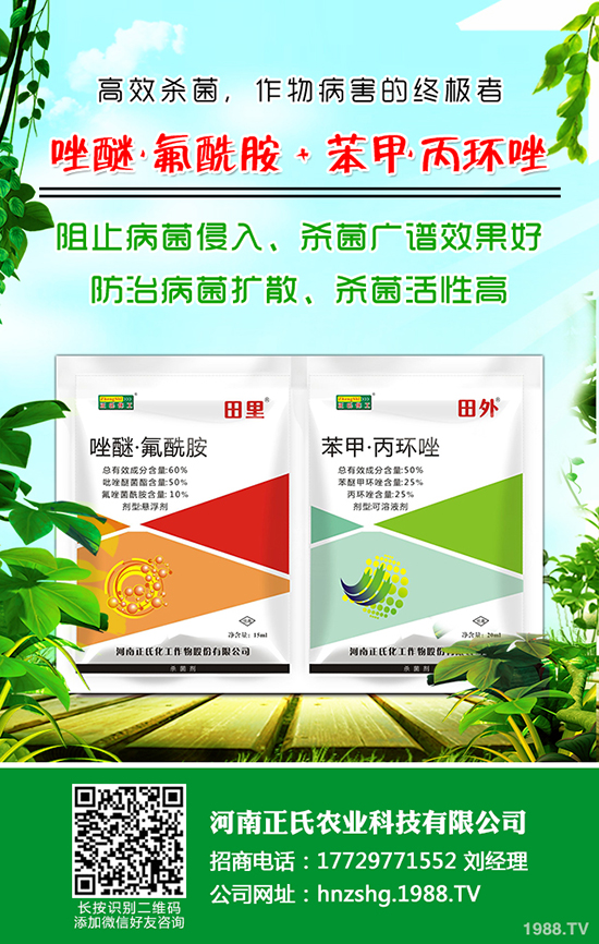 西梅種植的氣候條件，西梅種植的方法！