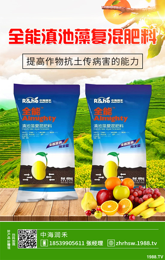 新鮮天麻和干天麻有哪些區(qū)別？那個效果更好？