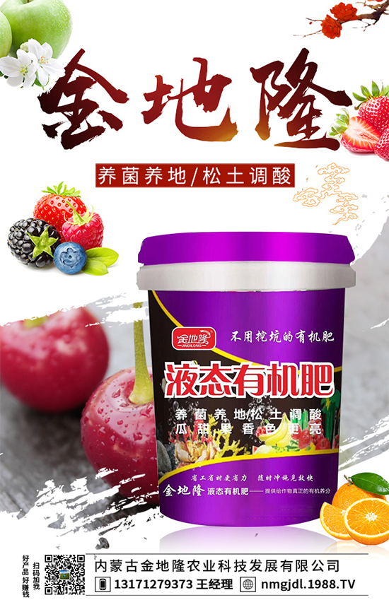 木耳菜多少錢(qián)一斤？2020木耳菜種植前景如何？（附種植技術(shù)）