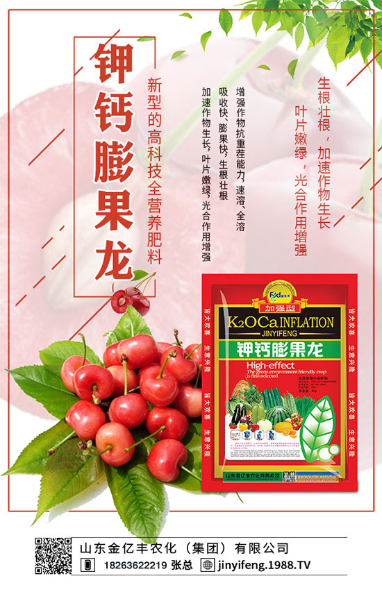 荔枝什么時間種植？荔枝怎么種植？