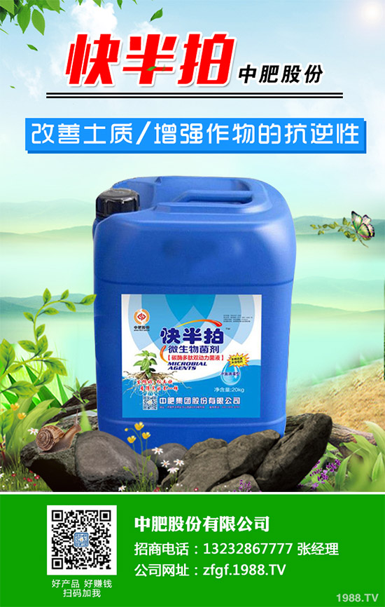 金線蓮該如何種植？金線蓮的種植及養(yǎng)管理