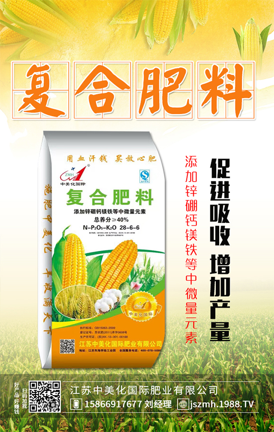 2019年12月31日今日最新復(fù)合肥價格行情動態(tài)早報！