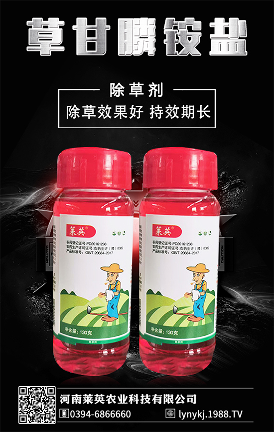     橙子價(jià)格如何？貴么？2020種植橙子賺錢么？種植前景怎么樣？