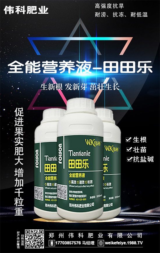     橙子的營養(yǎng)價值有哪些？功效與作用有哪些？不易哪些人群食用？