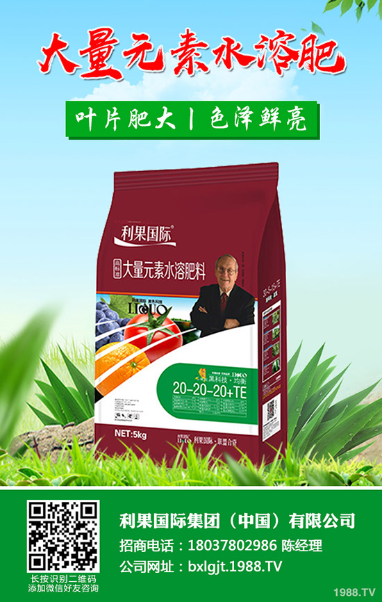 吃鐵皮石斛有什么好處，鐵皮石斛的功效與作用有哪些