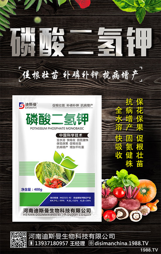 野生金線蓮有哪些神奇功效？野生金線蓮的功效及用法