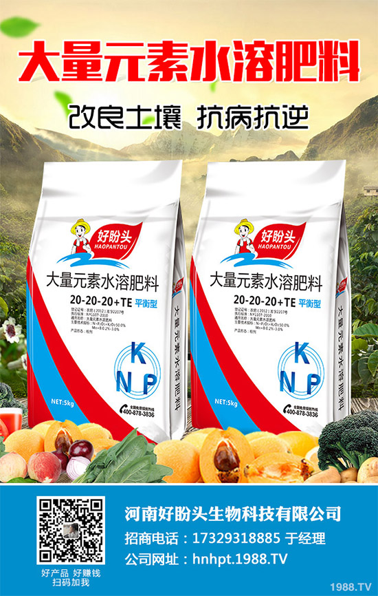 你所不知道的金線蓮，輕松排除人體11種毒素！