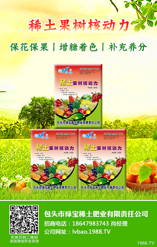 大棚西瓜該怎么育苗，大棚西瓜育苗需要掌握哪些知識