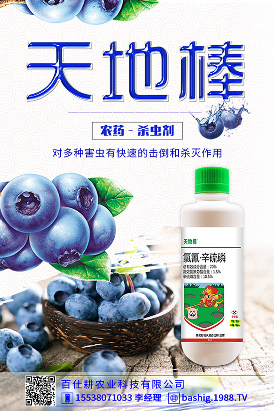 空心菜用什么肥好，空心菜的施肥技巧有哪些？