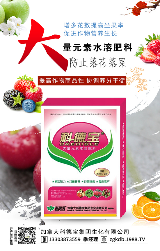 桔梗種子栽培技術 桔梗種子繁殖方法