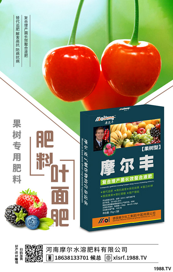 黃精種植到底掙不掙錢？黃精種植要點分析！