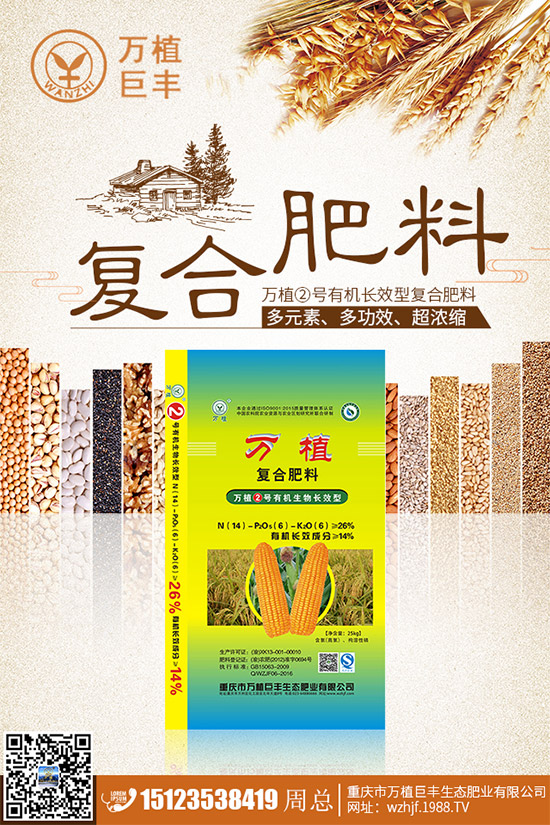 洋薊該如何種植？洋薊高產(chǎn)種植技術(shù)方案