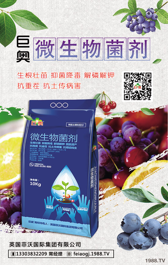 2019年8月22日今日國內(nèi)尿素價格行情走勢預測綜合評述