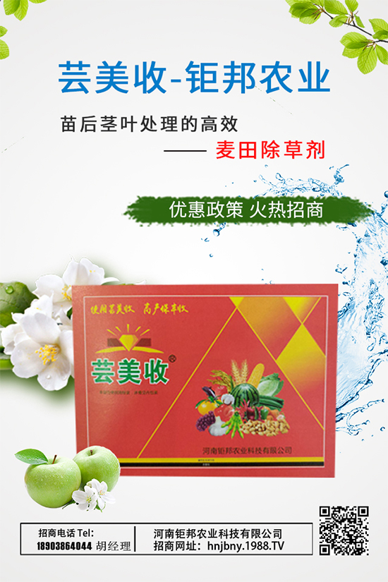 大蔥需肥特性，大蔥施肥技術(shù)要點(diǎn)有哪些？